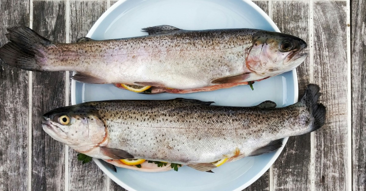 Two Trout Fish On A Plate Ready To Be Cooked